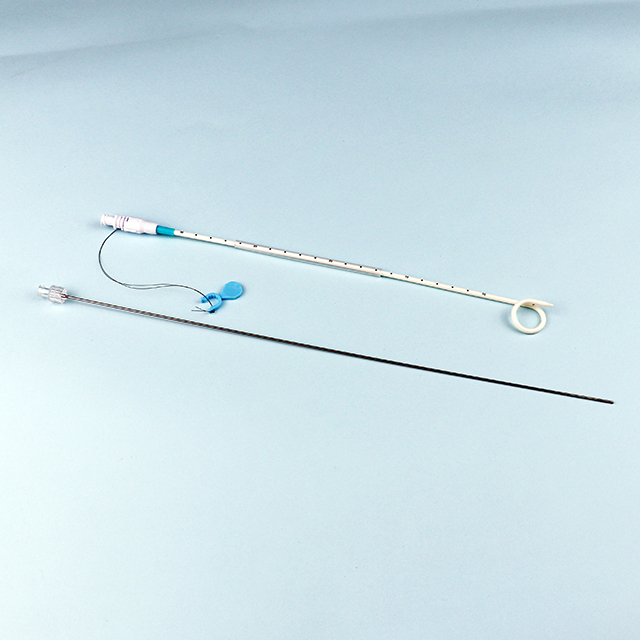 Ensemble de cathéter de drainage pour néphrostomie percutanée à revêtement hydrophile