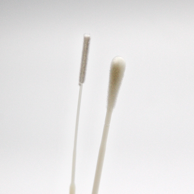 Tournoir de la collection 800-Specimen (3)