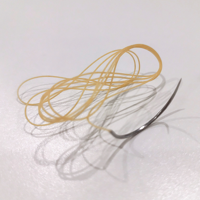 Suture chromique simple résorbable chirurgicale avec aiguille
