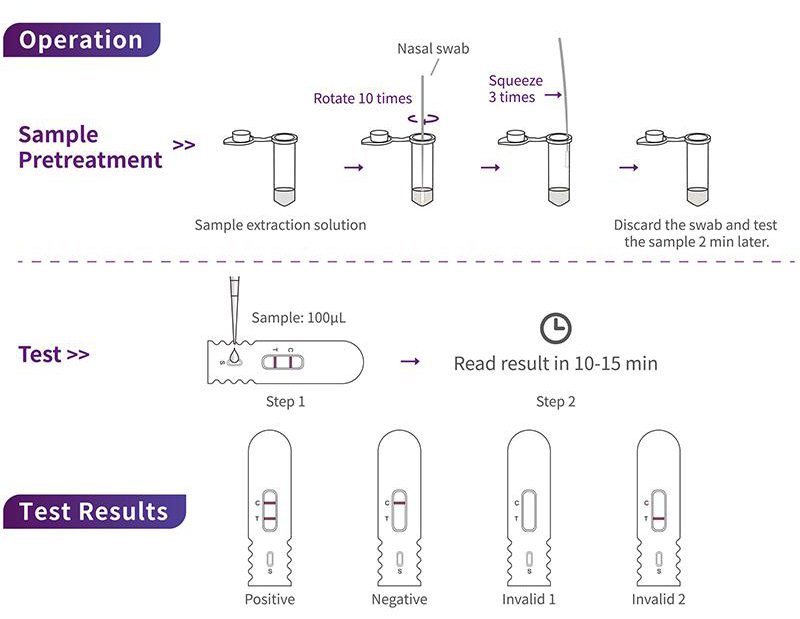 800-SARS-COV-2-ANTIGEN- (collo&iuml;dal-or) -2