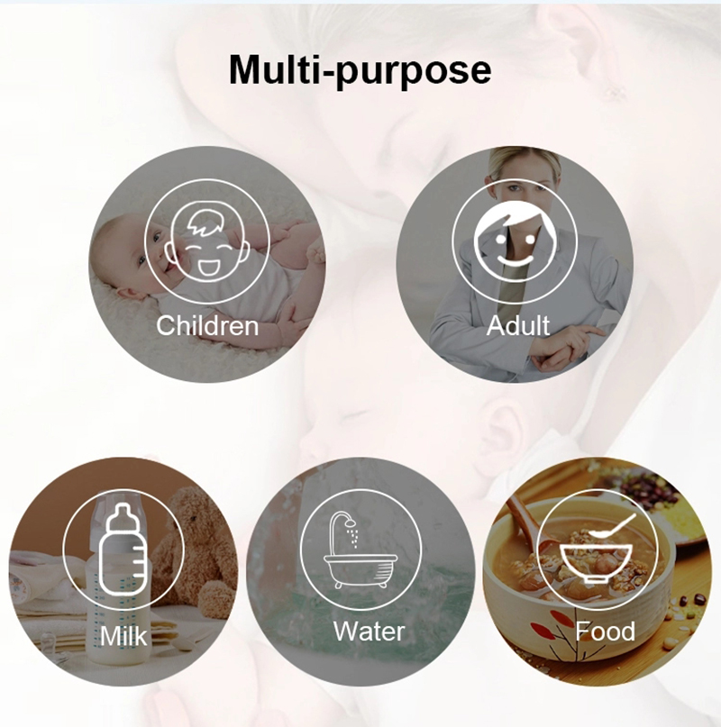 Thermom&egrave;tre de 800 fronti&egrave;res (3)