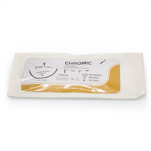 Suture chromique résorbable pour boyau de chat à usage chirurgical