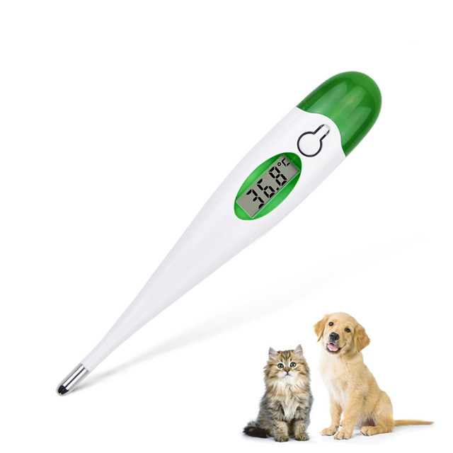 Thermomètre vétérinaire numérique à pointe rigide à lecture rapide de 10 secondes de haute précision