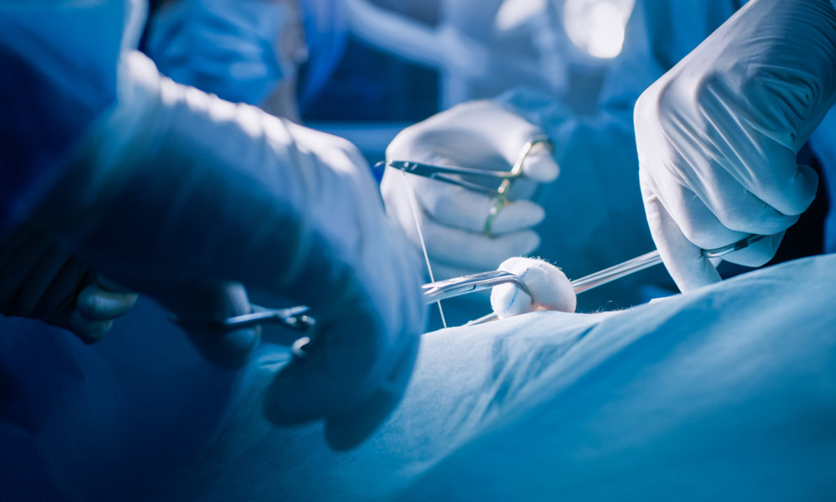 noeud chirurgical2.jpg