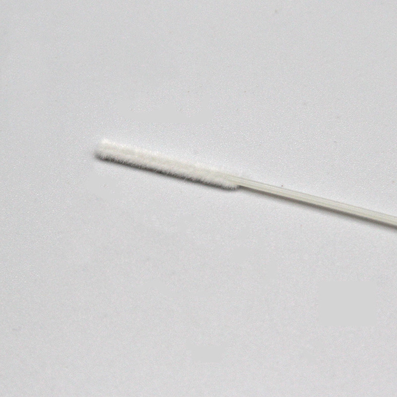 Tournoir de la collection 800-Specimen