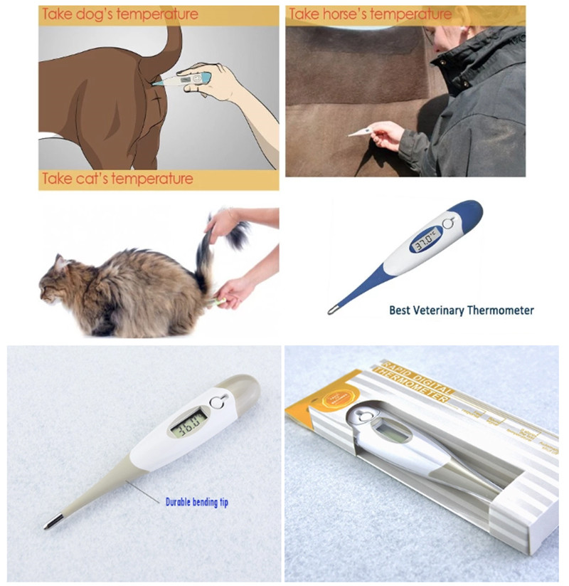 Thermom&egrave;tre num&eacute;rique 800-Num&eacute;rique