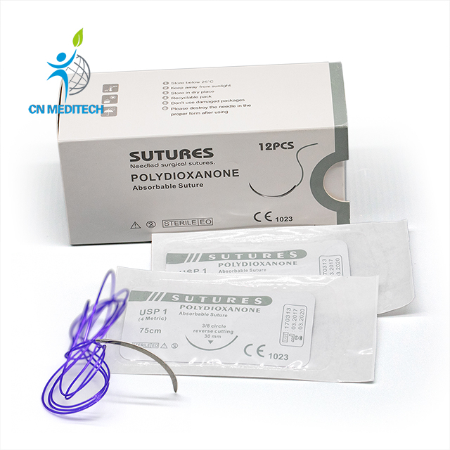 Suture monofilament résorbable en polydioxanone avec aiguille à coupe inversée