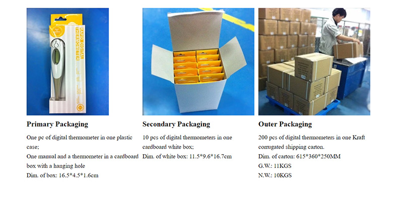 Thermom&egrave;tre num&eacute;rique 800-Num&eacute;rique